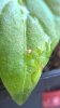 WP_20170225_13_58_19_Pro.jpg