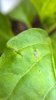 WP_20170225_13_59_30_Pro.jpg