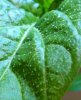 IMG_20170226_231434.jpg