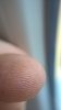 WP_20170225_14_04_35_Pro.jpg
