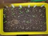 IMG_20170301_185906.jpg