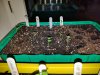 IMG_20170301_185940.jpg