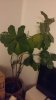 20170205_000143.jpg 20170205_000143.jpg
