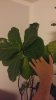 20170205_000201.jpg 20170205_000201.jpg