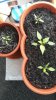 20170305_131510.jpg