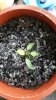 20170305_131554.jpg