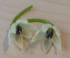 20170308_072123.jpg