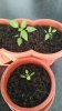 20170308_125551.jpg