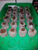 20170309_092624.jpg