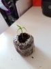 20170309_113240.jpg