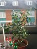 IMG_20170313_151149.jpg