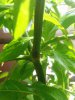 IMG_20170313_152202.jpg