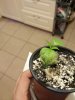 IMG_20170313_200014.jpg