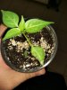 IMG_20170313_195831.jpg