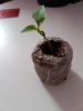 20170314_102440.jpg