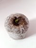 20170314_102452.jpg