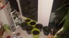 IMG-20170318-WA0083.jpeg