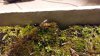 20170320_192728.jpg