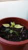 20170328_175634.jpg