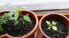 20170328_175800.jpg