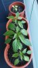 20170330_193654.jpg