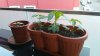 20170330_193723.jpg