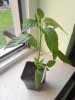 IMG_20170402_182247.jpg