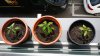 20170406_134116.jpg