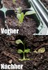 1_Vorher-Nachher.jpg