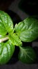 20170416_125127.jpg