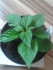 20170416_140818.jpg