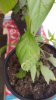 20170417_161258.jpg