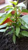 20170420_184840.jpg