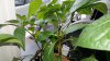 20170428_113129.jpg 20170428_113129.jpg