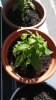 20170430_103816.jpg