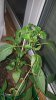 20170510_234216.jpg
