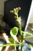 DSC01278.JPG