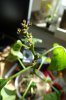 DSC01277.JPG