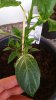 20170518_205041.jpg
