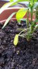 20170603_190441.jpg