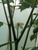 IMG_20170607_173137.jpg