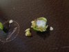DSC00125.jpg
