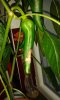20170524_212818.jpg
