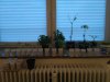 IMG_20170422_203909.jpg