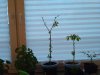 IMG_20170422_203927.jpg