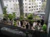 IMG_20170513_144808.jpg