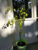 20170612_190756.jpg
