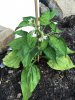 2017-06-13 20.31.25.jpg