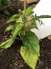 2017-06-13 20.31.47.jpg