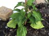 2017-06-13 20.32.01.jpg